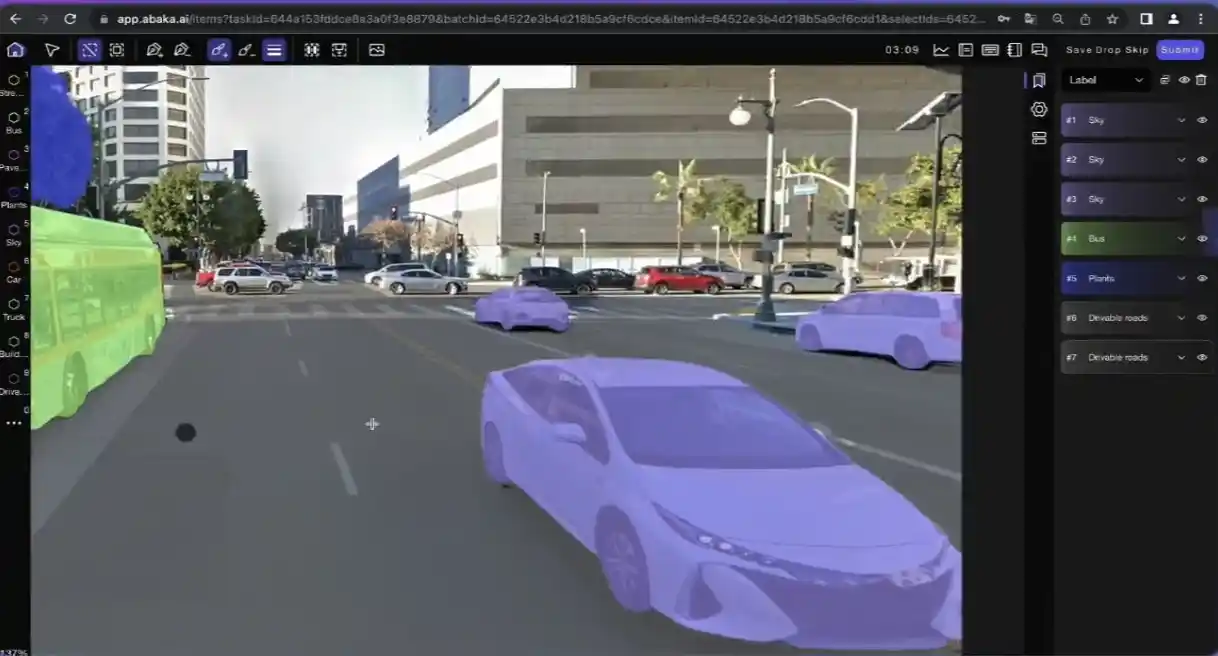 Label taxonomy for video annotation