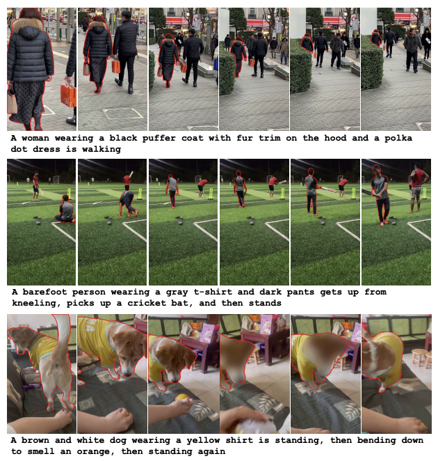 Examples from pseudo-labeled SAV-Caption training set with target objects (red contour) and captions describing class, appearance, and sequential actions.